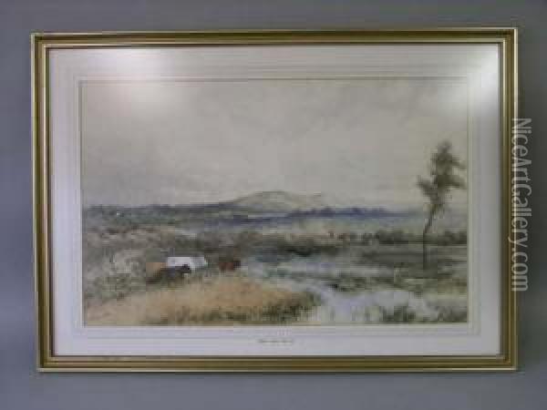 Cattle In Landscape Signed 17.5 X 27.5in Oil Painting - James Price