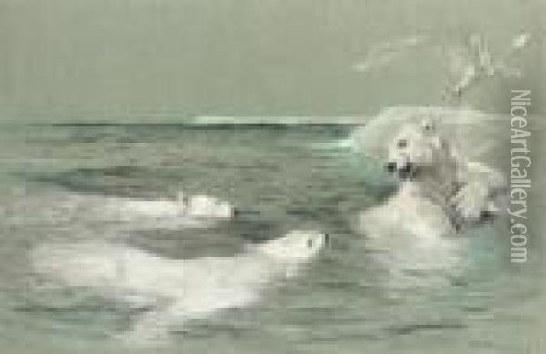 A Polar Bear Defending His Catch Oil Painting - Arthur Wardle