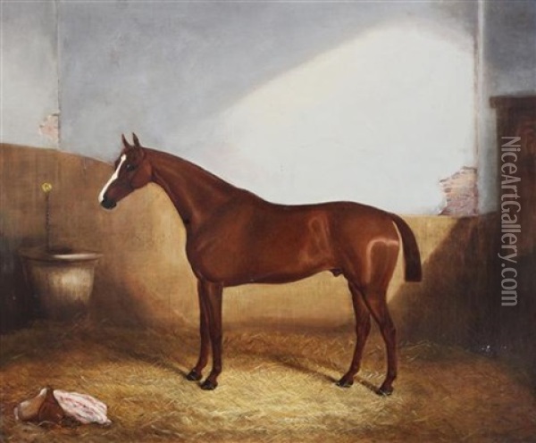 Chestnut Horse In A Stable Oil Painting - James Clark