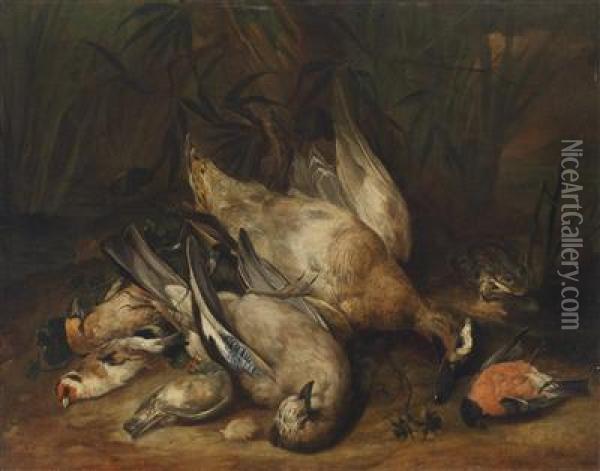 A Hunting Still Life With Shot Wildfowl Oil Painting - Johann Georg Hamilton