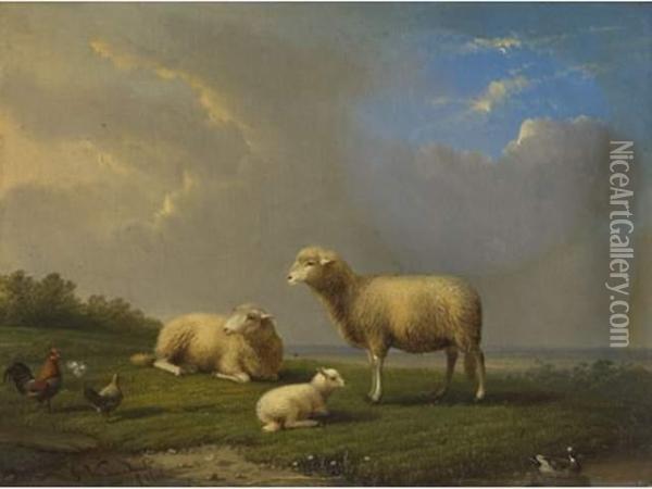Moutons Sur Le Rivage Oil Painting - Franz van Severdonck