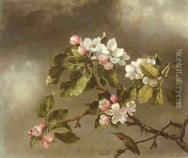 Hummingbird and Apple Blossoms Oil Painting - Martin Johnson Heade