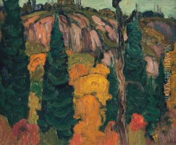 Spruce And Maple, Algoma Oil Painting - James Edward Hervey MacDonald