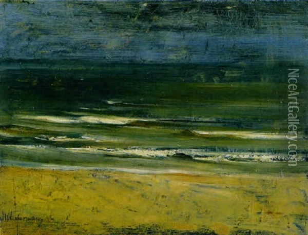 Meerlandschaft Oil Painting - Max Liebermann