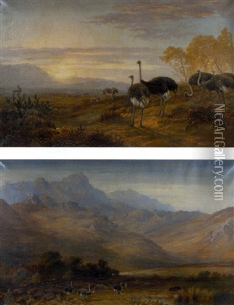Little Karoo Landscapes With Ostriches (pair) Oil Painting - Charles Rolando