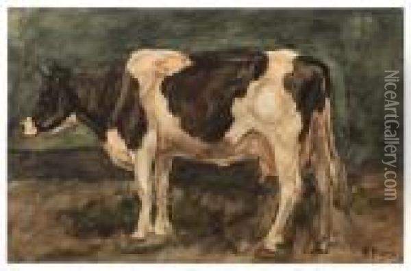 A Cow Oil Painting - Anton Mauve