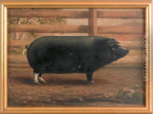 Portrait Of A Pig Oil Painting - George Cope