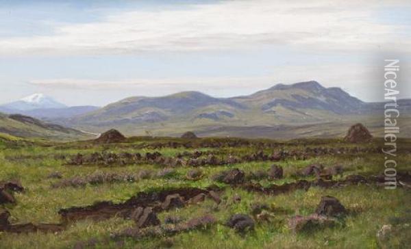 Peat Bed At Broadford Skye Oil Painting - Stephen E. Hogley