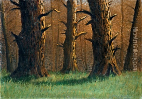 Forest View Oil Painting - Jeno Szepesi-Kuszka