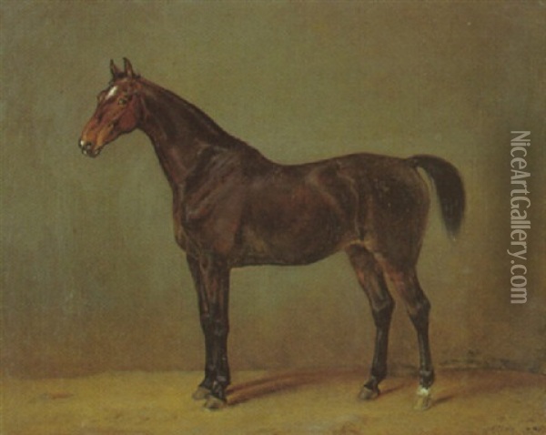 Braunes Pferd, Nach Links Gewendet Oil Painting - Albrecht Adam