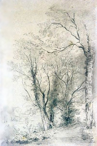 A Woodland Path Oil Painting - Henry Edridge