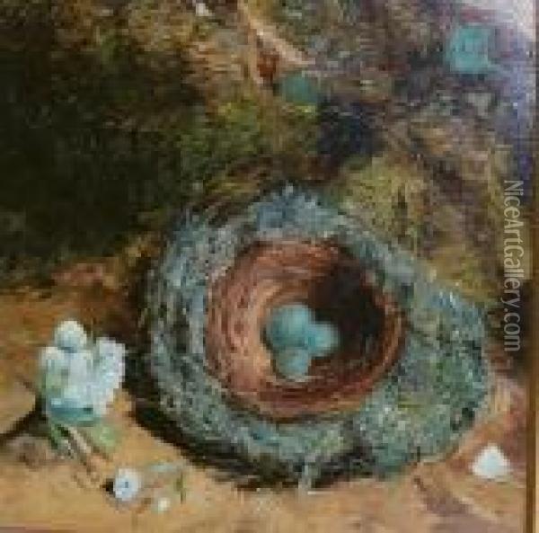 Still Life With A Robin's Nest Oil Painting - William Henry Hunt