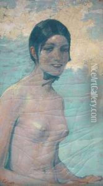 Female Nude. Oil On Canvas. Signed. - Craquele. Restored Oil Painting - Erich Erler-Samaden