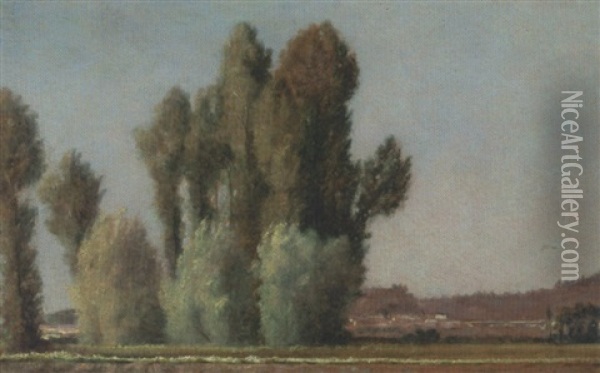 Paysage D'ile De France (peupliers) Oil Painting - Charles Lapostolet