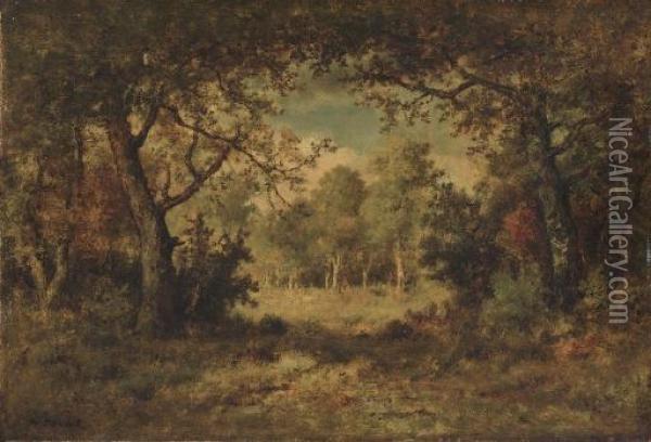 Le Bois De Fointainebleau Oil Painting - Narcisse-Virgile D Az De La Pena