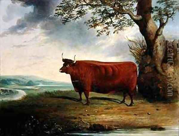 Portrait of a Brown Cow Oil Painting - George Fenn