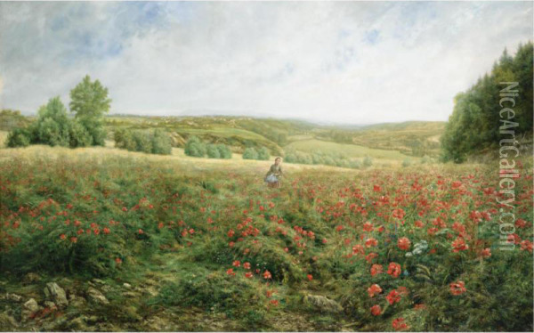 A Field Of Flowers Oil Painting - Arthur Gaillard