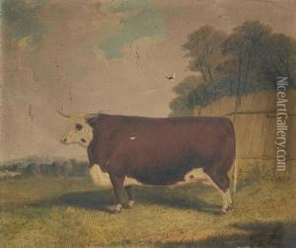 A Prize Cow In A Landscape Oil Painting - Richard Whitford