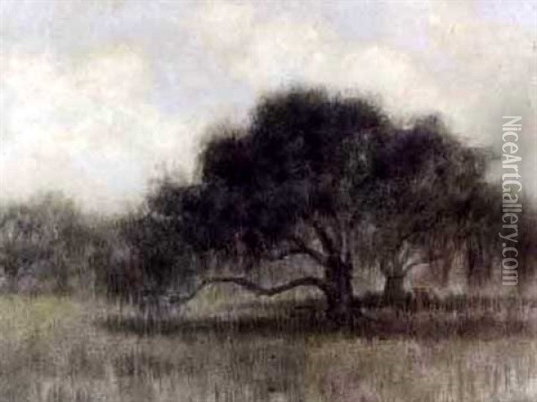 Bunyan Tree Oil Painting - Alexander John Drysdale