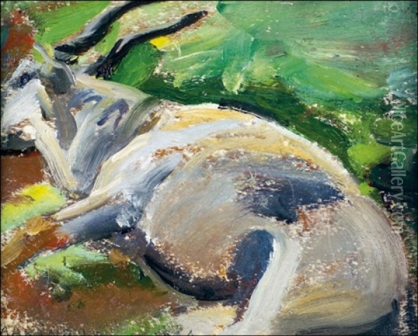 Eland-harka Oil Painting - Akseli Valdemar Gallen-Kallela