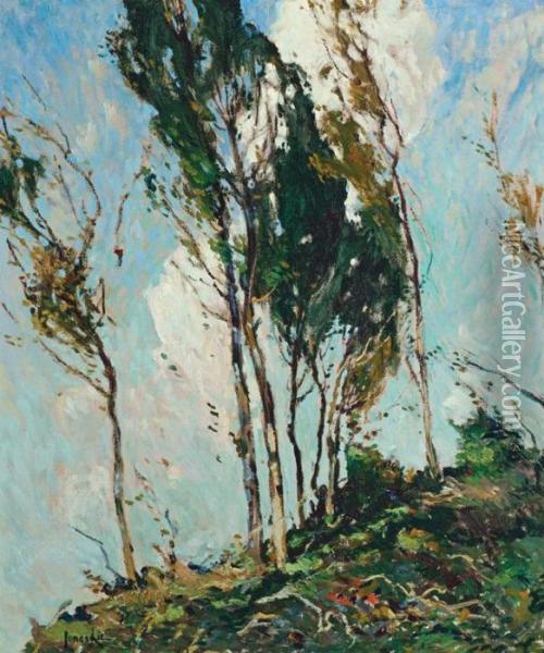 Trees And Clouds Oil Painting - Jonas Lie