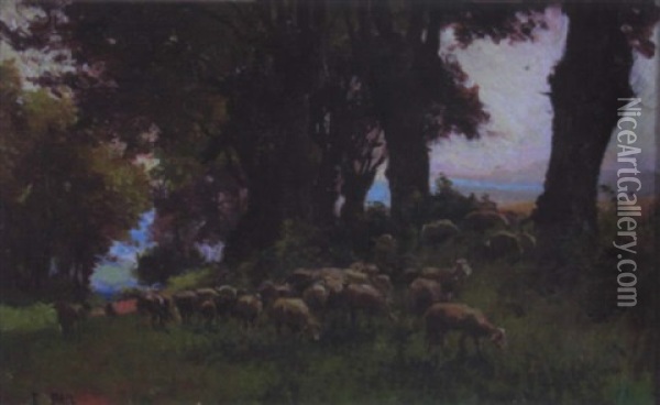 Troupeau De Moutons Oil Painting - Edouard Pail