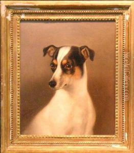 Smooth Fox Terrier Oil Painting - Walter Harrowing