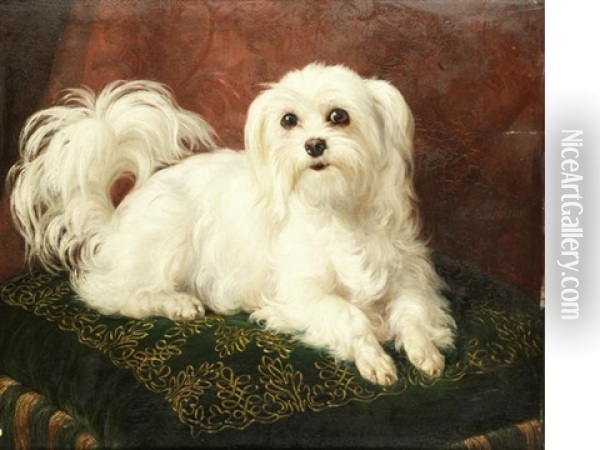 Odette, A Maltese On An Embroidered Cushion Oil Painting - Jacques Raymond Brascassat