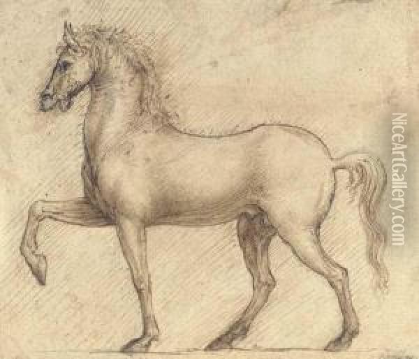A Horse In Profile To The Left Oil Painting - Cesare da Sesto
