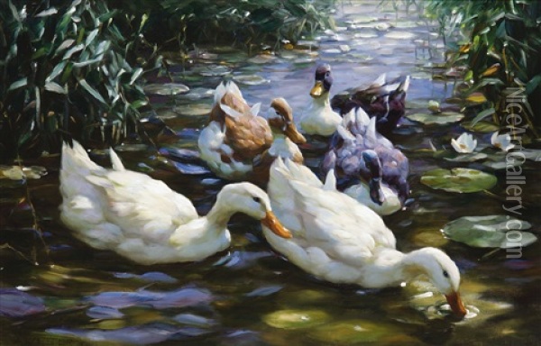 Five Ducks Oil Painting - Alexander Max Koester