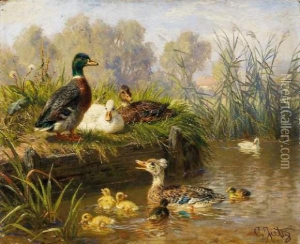 Ducks In The Pond Oil Painting - Carl, Jutz Jnr.