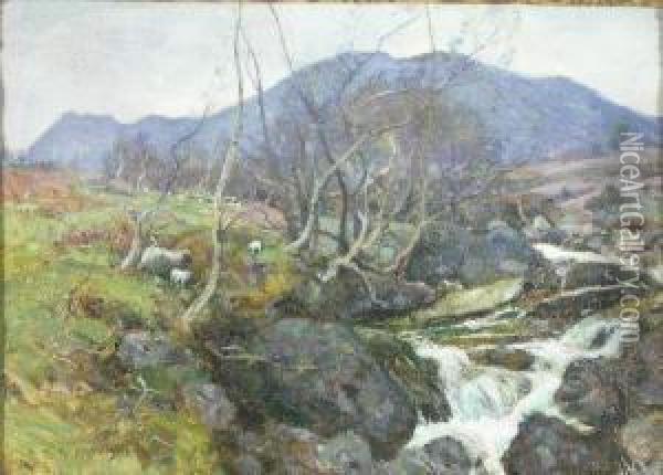 Sheep Grazing By A Highland River Oil Painting - Robert Mcgown Coventry