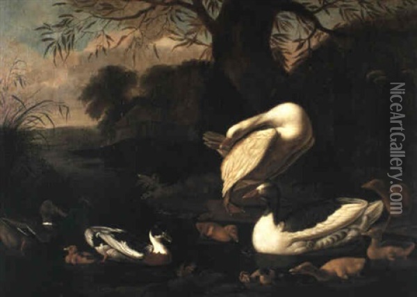 Ducks And Ducklings In A River Landscape Oil Painting - Francis Barlow