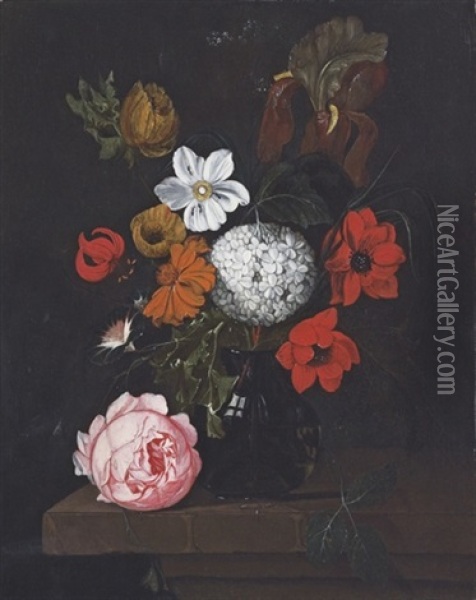 Corn Poppies, A Peony, A Chrysanthemum And Other Flowers, In A Glass Vase On A Stone Ledge Oil Painting - David Cornelisz Heem III