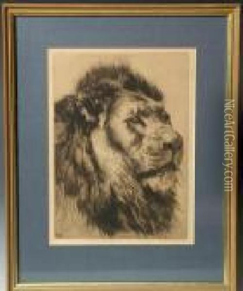 Portrait Of A Lion Oil Painting - Herbert Thomas Dicksee