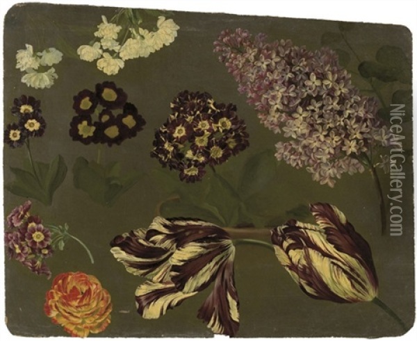Une Branche De Lilas Violet, Des Auriculae Mauves, Des Tulipes Panachees Violettes Et Blanches Et Un Camelia Oil Painting - Pancrace Bessa