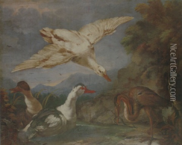 A River Landscape With Ducks And A Heron Eating An Eel Oil Painting - Pietro Cignaroli