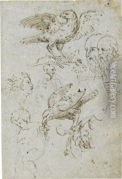 Studies After Raphael's 'madonna Of The Fish' And Two Studies Of A Bird Oil Painting - Cristifano Doceno Gherardi