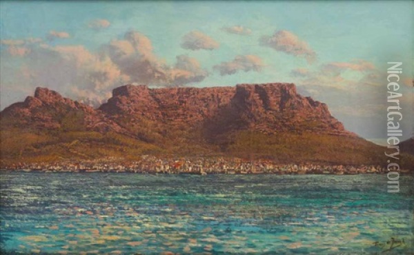 View Of Table Mountain Oil Painting - Tinus de Jongh