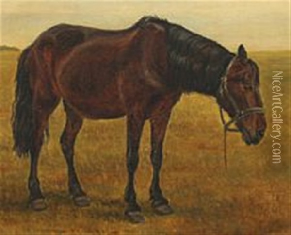 A Horse Oil Painting - Theodor Philipsen