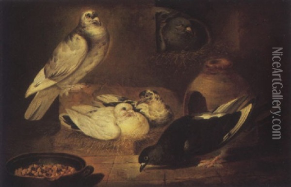 Pigeons In A Barn Oil Painting - Jacob van der Kerckhoven