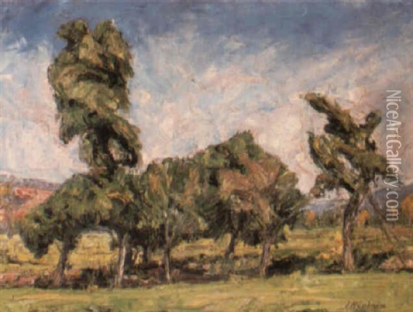 Landscape With Trees Oil Painting - Jakob Nussbaum
