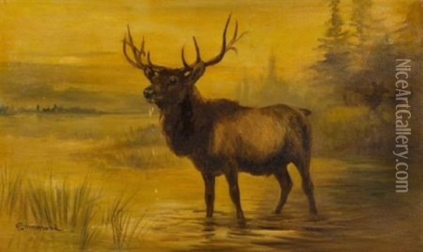 Elk Oil Painting - Nora Drummond