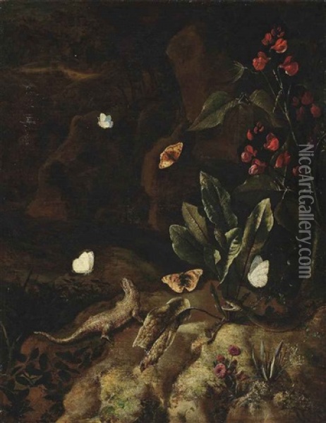 A Forest Floor With A Snake, A Lizard, Butterflies, A Bleeding Heart And Tagetes Oil Painting - Otto Marseus van Schrieck