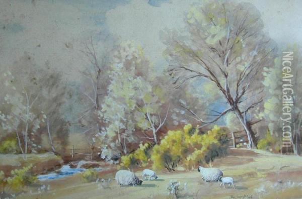 Springtime Near Pinwherry Oil Painting - Thomas, Tom Campbell
