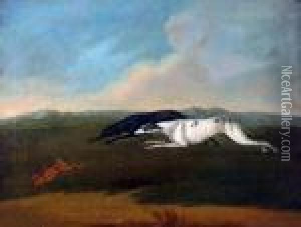 Hare Coursing Oil Painting - John Nost Sartorius