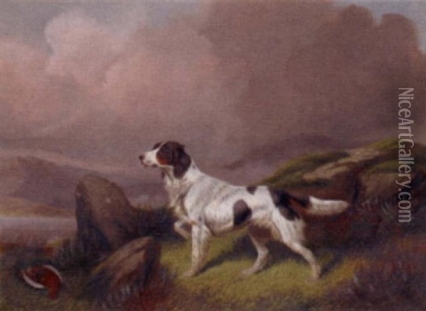 A Setter In A Moorland Landscape Oil Painting - Colin Graeme