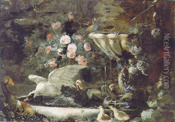 An Ornamental Garden With Muscovy Ducks And Other Wildfowl Bathing In A Stone Fountain Amid Roses And Other Flowers Oil Painting - Andrea Belvedere