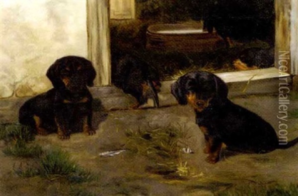 Short-haired Dachshund Puppies Oil Painting - Simon Simonsen