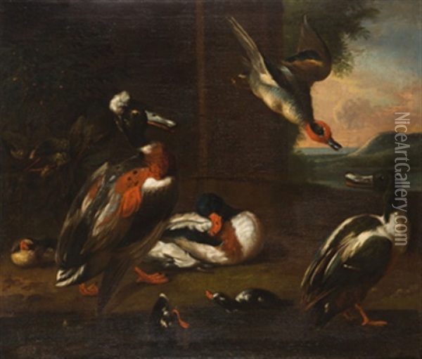 Bodegon De Aves Oil Painting - Robert Griffier